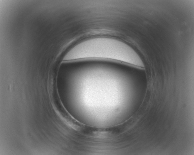 X0000082680448200701260933