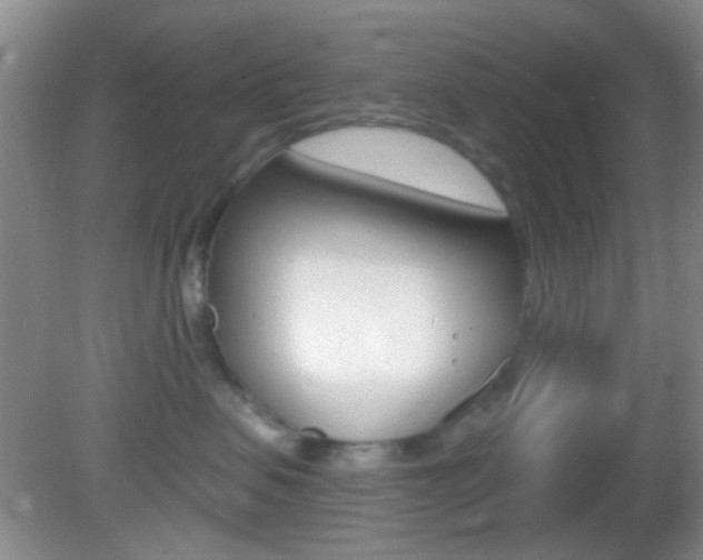 X0000082680479200701260933