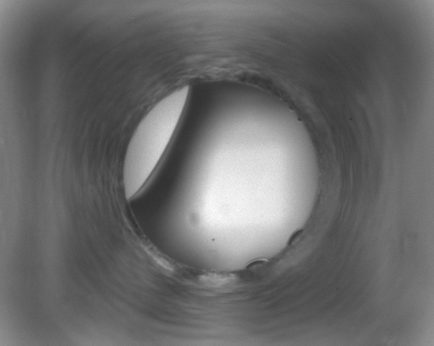 X0000082680480200701260933