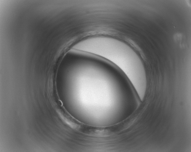 X0000082680493200701260932
