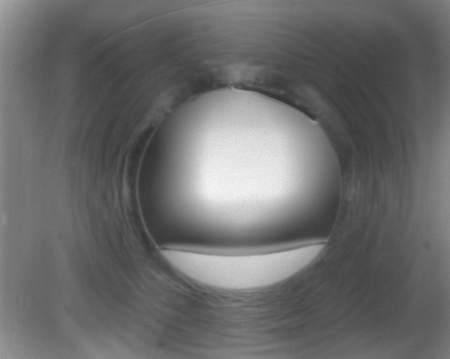 X0000082680516200701260932