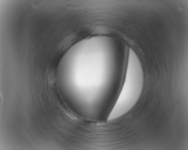 X0000082680517200701260932