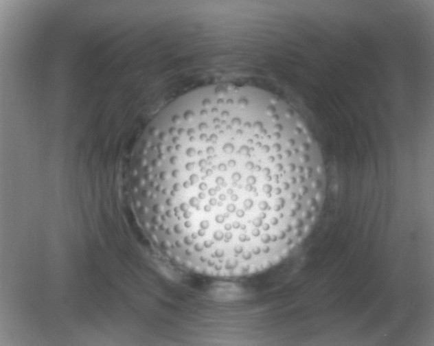 X0000082680519200701260932