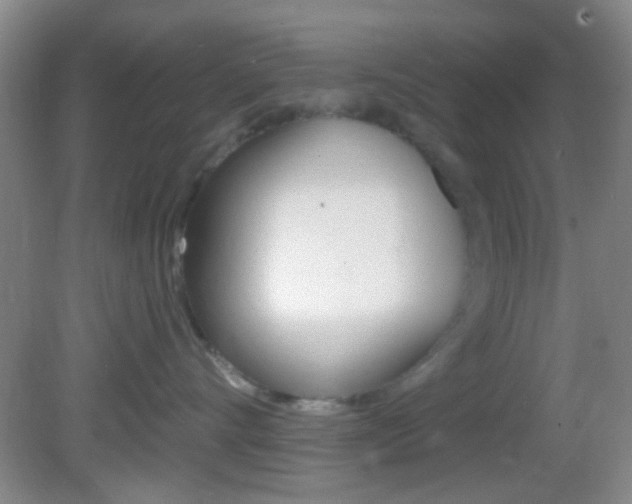 X0000082680528200701260932