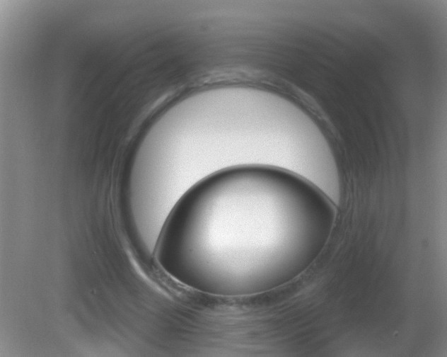 X0000082680538200701260931