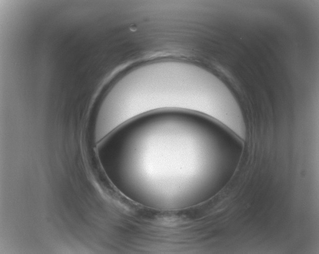 X0000082680540200701260931