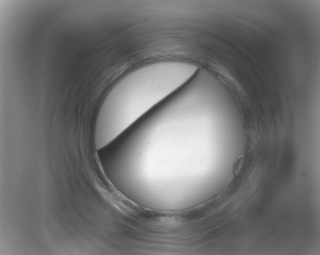 X0000082680541200701260931