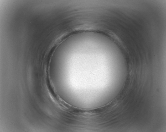 X0000082680542200701260931
