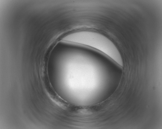 X0000082680544200701260931