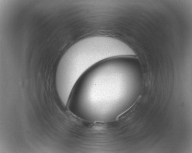 X0000082680560200701260931