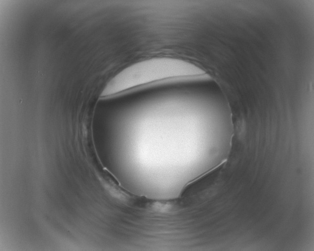 X0000082680570200701260932