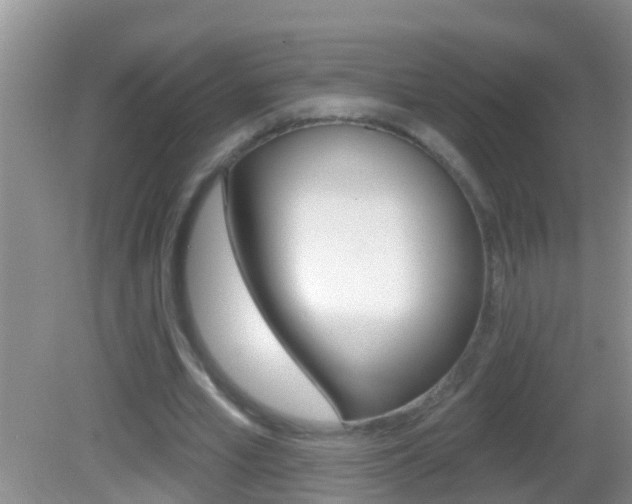X0000082680581200701260931