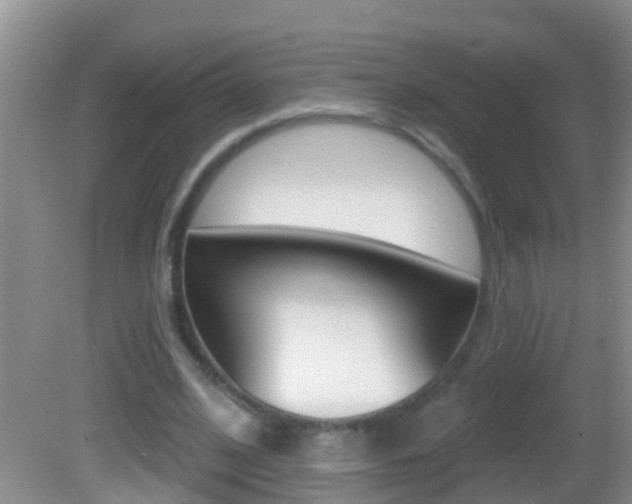 X0000082680584200701260931