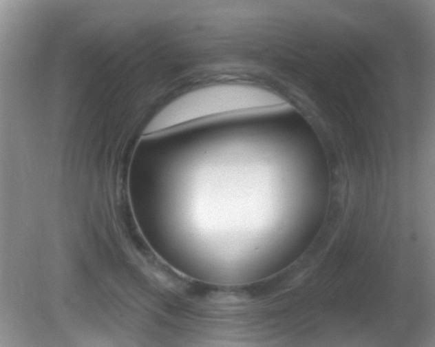 X0000082680597200701260931