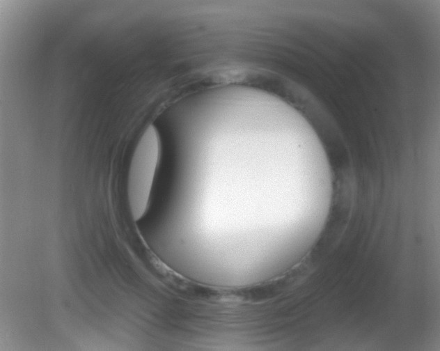 X0000082680598200701260930