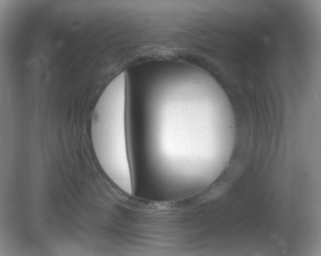 X0000082680624200701260930