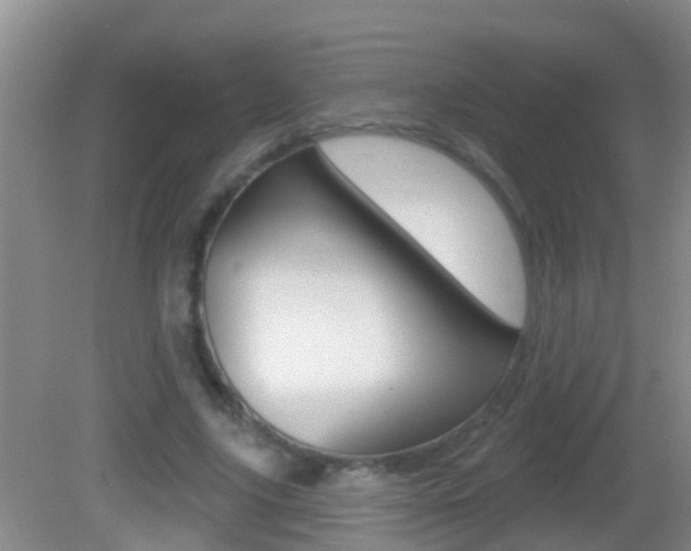 X0000082680635200701260929