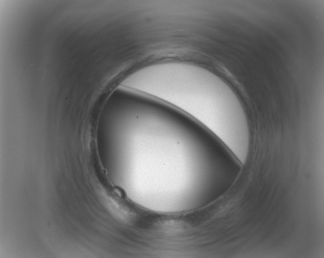 X0000082680637200701260929