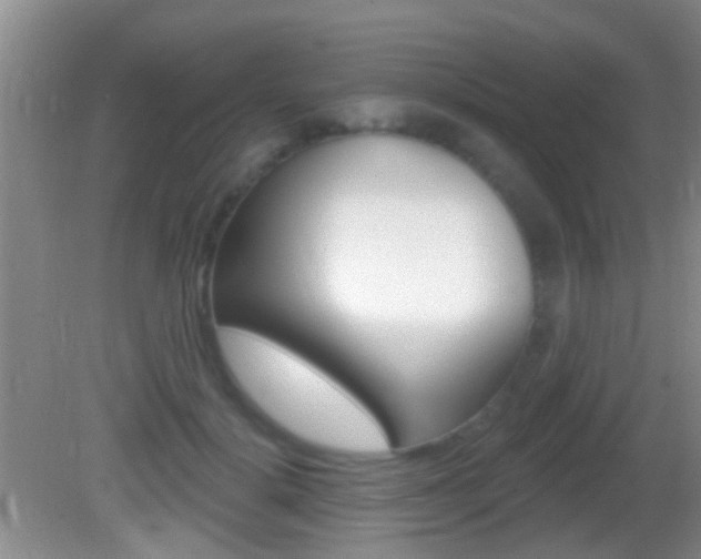 X0000082680652200701260930