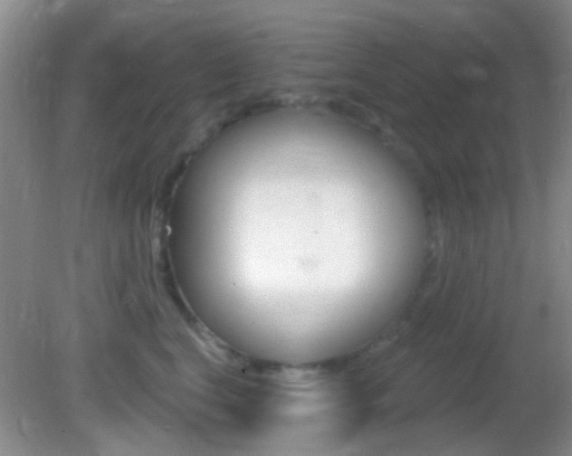 X0000082680664200701260930
