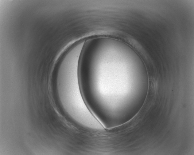X0000082680676200701260929