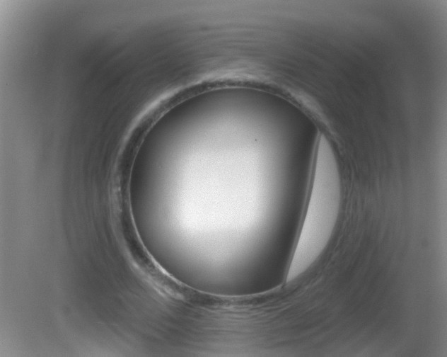 X0000082680680200701260929