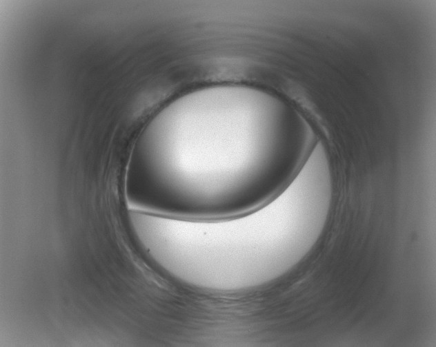 X0000082680681200701260929