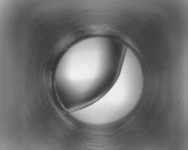 X0000082680685200701260929