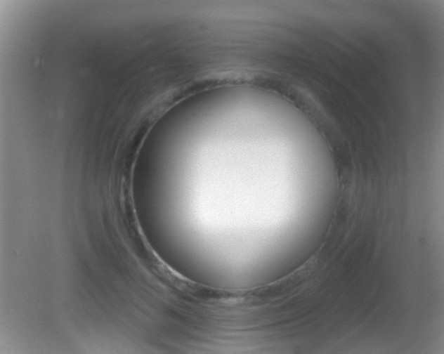 X0000082680692200701260929