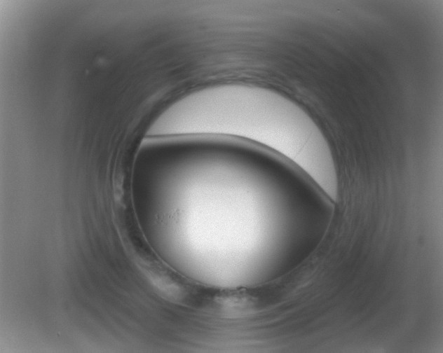 X0000082680693200701260929