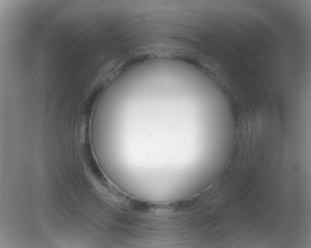 X0000082680694200701260929