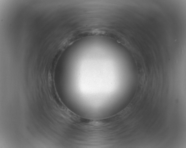 X0000082680704200701260929
