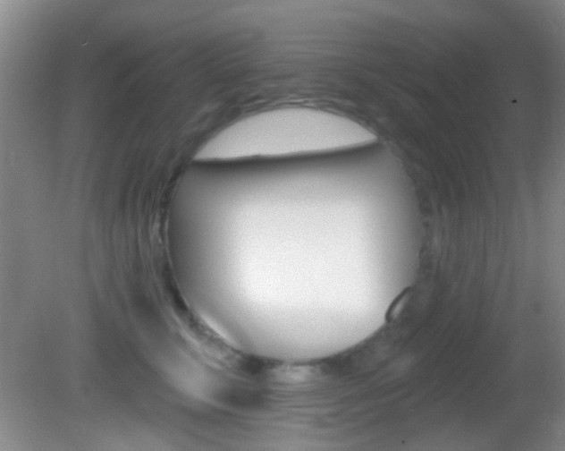 X0000082680711200701260929