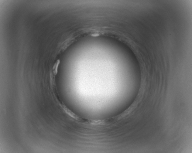X0000082680720200701260928