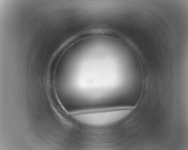 X0000082680722200701260928