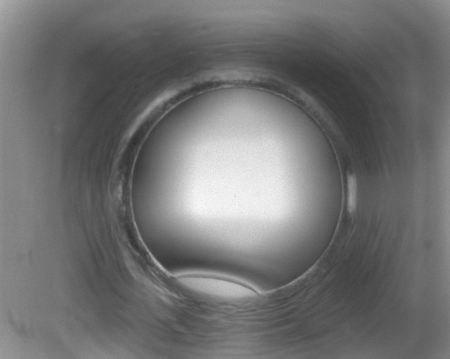 X0000082680723200701260928