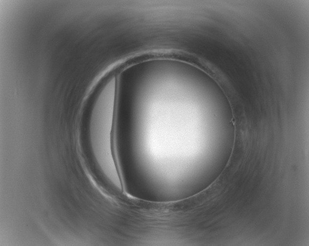X0000082680728200701260928