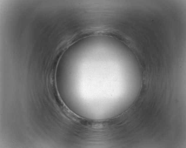 X0000082680740200701260928