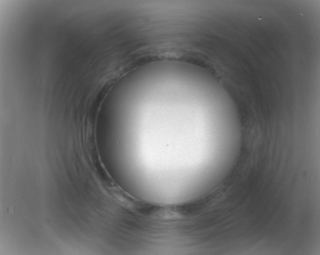 X0000082680747200701260928