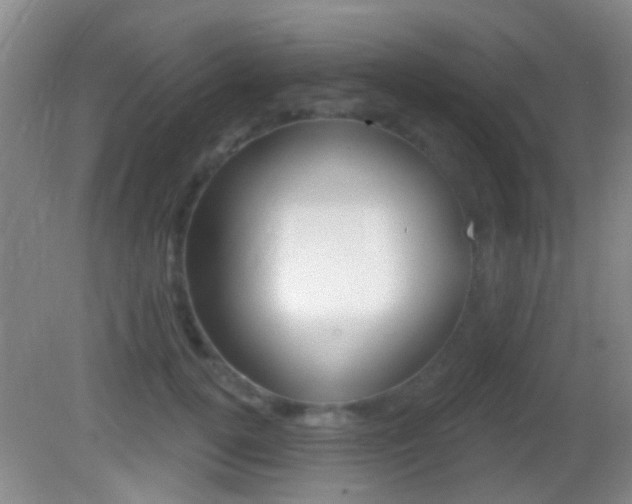 X0000082680752200701260928