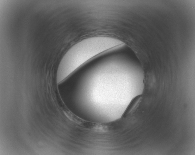 X0000082680760200701260928