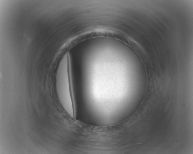 X0000082680776200701260927
