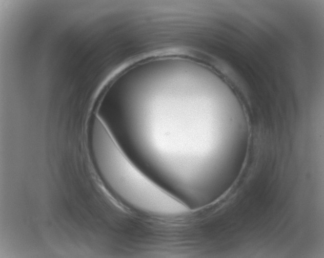 X0000082680789200701260927