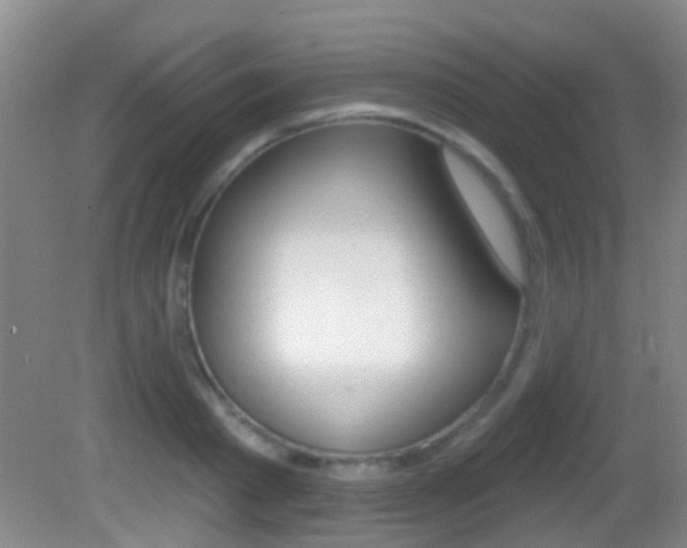 X0000082680793200701260927