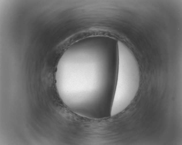 X0000082680821200701260926