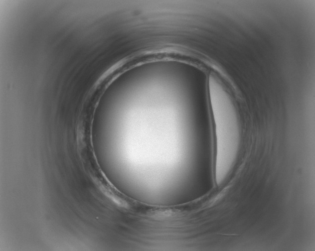 X0000082680826200701260926