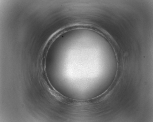 X0000082680830200701260926