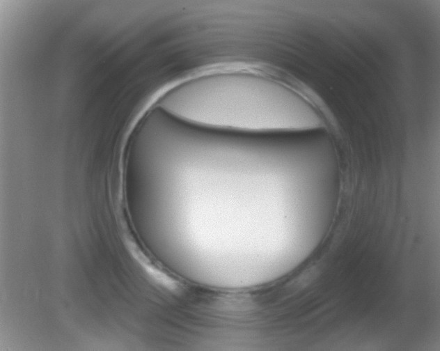 X0000082680844200701260926