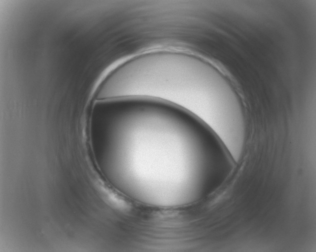 X0000082680846200701260926