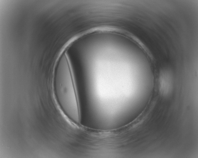 X0000082680853200701260927
